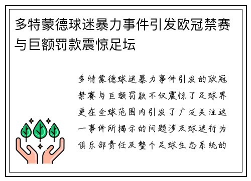 多特蒙德球迷暴力事件引发欧冠禁赛与巨额罚款震惊足坛
